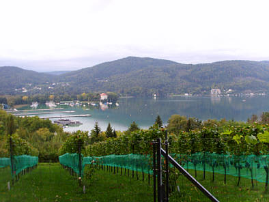 Wrthersee-Ultratrail 2009