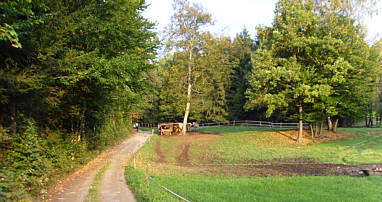 Wrthersee-Ultratrail 2009