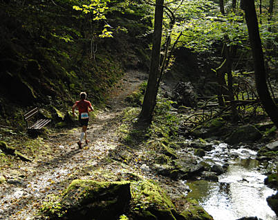 Wrthersee-Ultratrail 2009