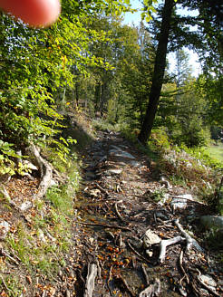 Wrthersee-Ultratrail 2009