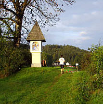 Wrthersee-Ultratrail 2009