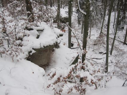 Adventslauf 2010