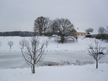 Adventslauf 2010