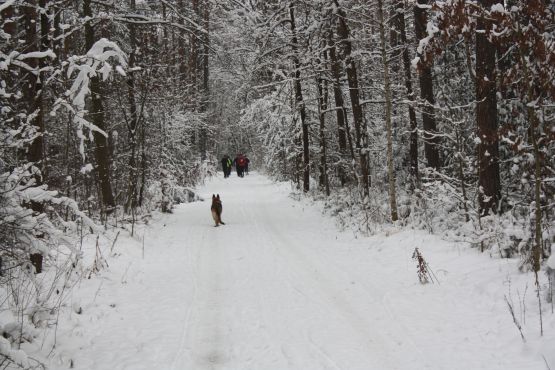 Adventslauf 2010