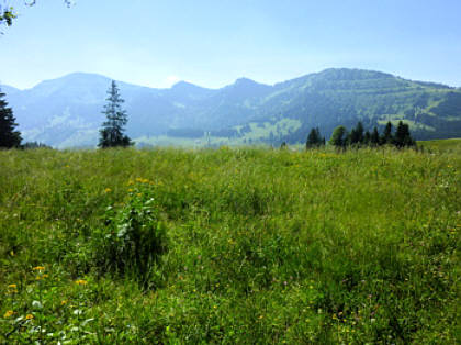 Alpin-Marathon Oberstaufen 2010