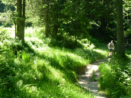 Alpin-Marathon Oberstaufen 2010