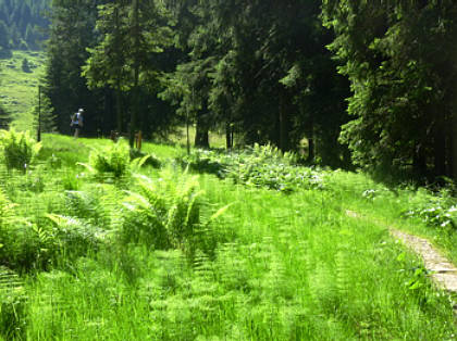 Alpin-Marathon Oberstaufen 2010