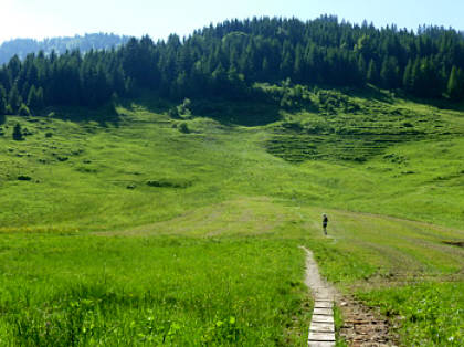 Alpin-Marathon Oberstaufen 2010