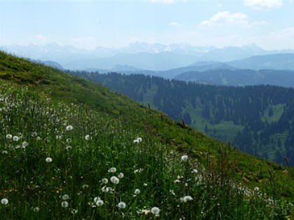 Alpin-Marathon Oberstaufen 2010