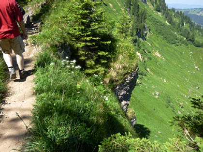 Alpin-Marathon Oberstaufen 2010