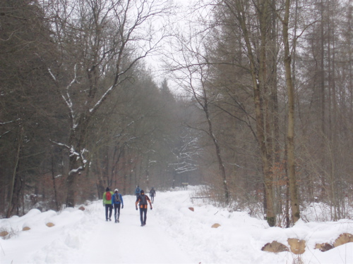 Brocken Challenge 2010