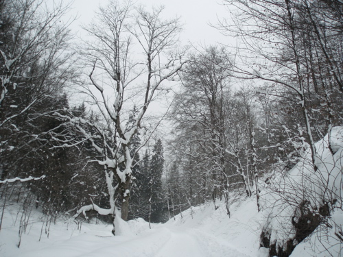 Brocken Challenge 2010