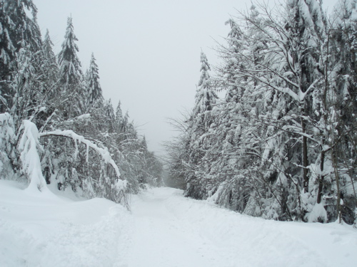 Brocken Challenge 2010