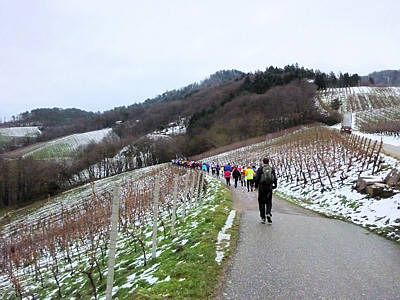 Eisweinlauf 2010