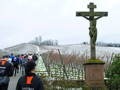 Eisweinlauf 2010