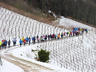 Eisweinlauf 2010