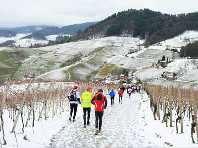 Eisweinlauf 2010