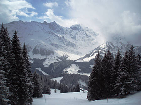 Swiss Snow Walk & Run Engelberg 2010