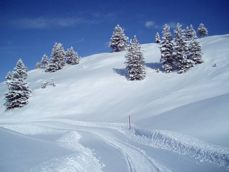 Swiss Snow Walk & Run Engelberg 2010