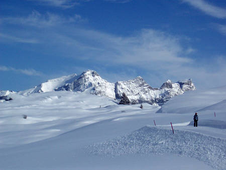 Swiss Snow Walk & Run Engelberg 2010