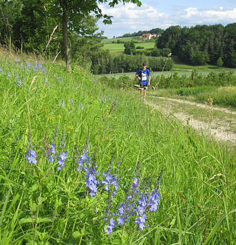 Frankenweg Marathon 2010