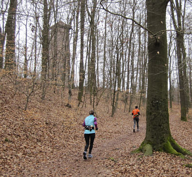 Frther Stadtwaldlauf am 27.03.2010