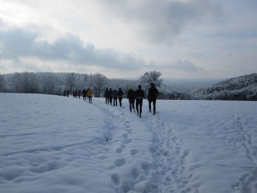 Genusslauf-Marathon 2010