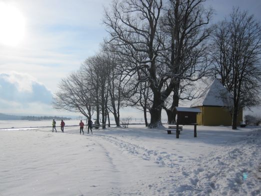 Genusslauf-Marathon 2010