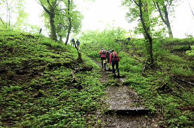 Keufelskopf Ultra Trail 2010