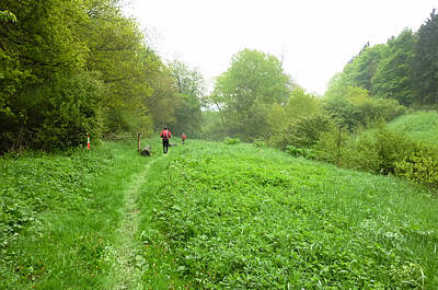 Keufelskopf Ultra Trail 2010