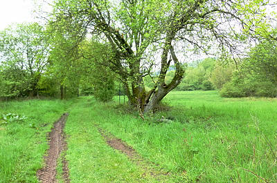 Keufelskopf Ultra Trail 2010