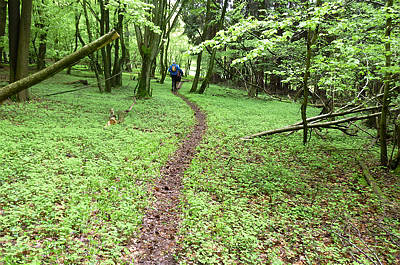 Keufelskopf Ultra Trail 2010