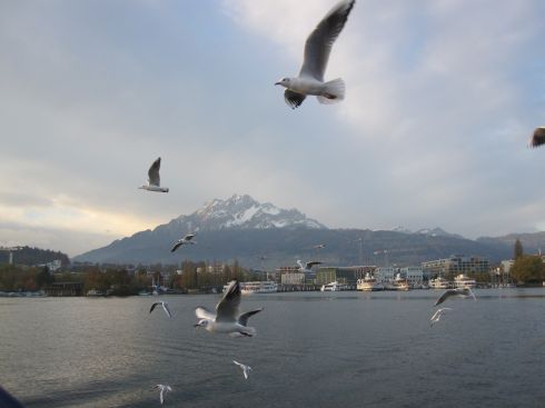 Luzern Marathon 2010