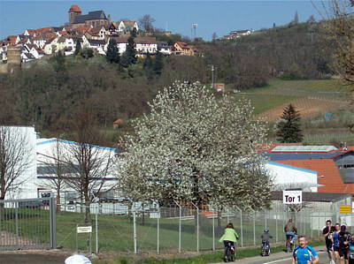 Marathon Deutsche Weinstrae 2010