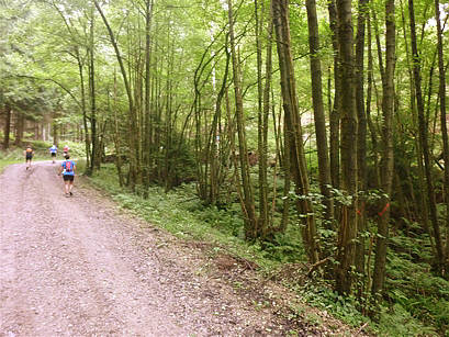 P-Weg Ultramarathon 2010