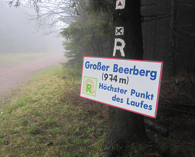 Rennsteiglauf 2010