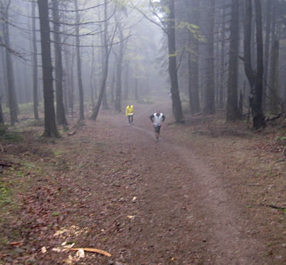 Rennsteiglauf 2010