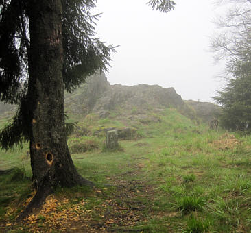 Rennsteiglauf 2010