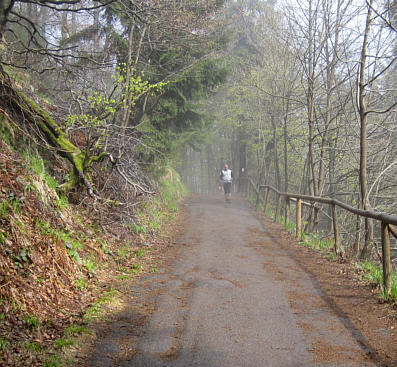 Rennsteiglauf 2010