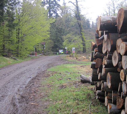 Rennsteiglauf 2010