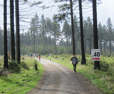 Rennsteiglauf 2010