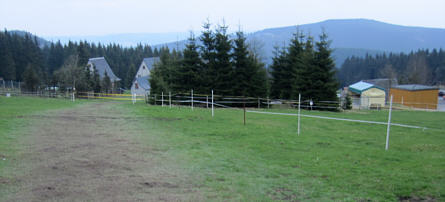 Rennsteiglauf 2010