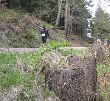 Rennsteiglauf 2010