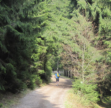 Rennsteiglauf 2010