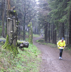 Rennsteiglauf 2010