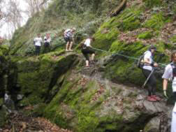 Rheinsteig-Erlebnislauf 2010