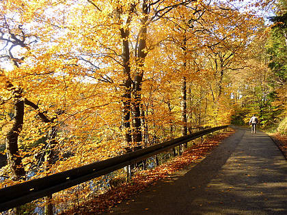 Rntgenlauf 2010