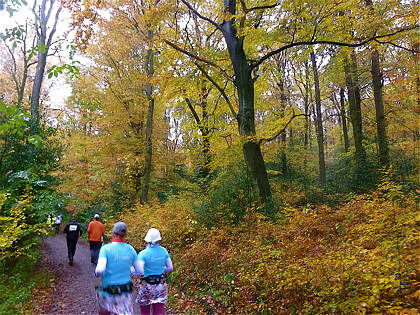 Rntgenlauf 2010