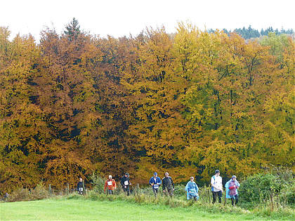 Rntgenlauf 2010