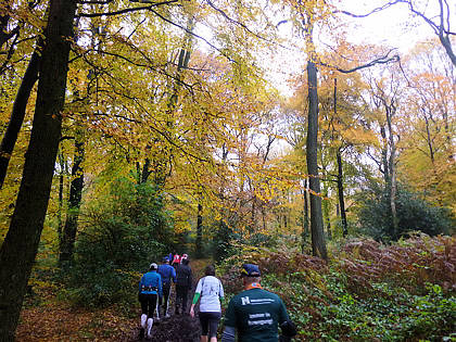 Rntgenlauf 2010